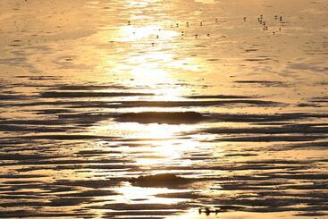 فندق Landhaus Severin S