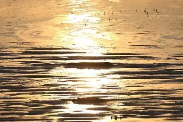 ホテル Landhaus Severin S