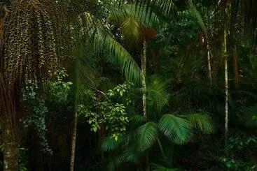 Yacutinga Lodge