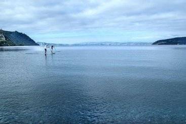 Lupin Lodge Bed And Breakfast