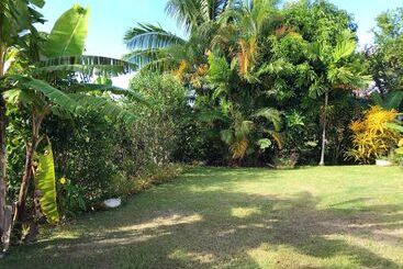 بنسيون The Tropical Villa