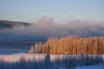 Williston Lake Resort