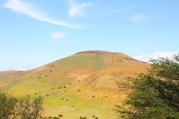 Pensione Farinha De Pau   Eco Rural Project