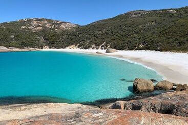 渡假胜地  Tasman Holiday Parks   Albany