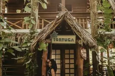 酒店 Tranquilseas Eco Lodge & Dive Center