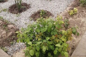 פנסיון V Gostyakh U Baby Poli