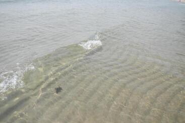 Отель Sunshine Paradise Resort