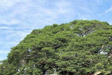 Hotel Dormitels.ph Bohol