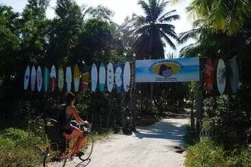 Micky Monkey Beach Hotel Phuket Maikhao Thailand