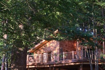 Tree House Retreats