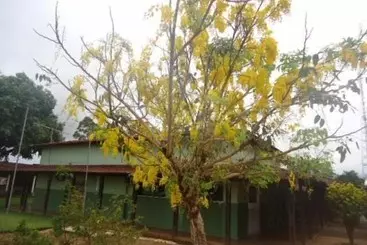 ホテル Pousada Meribá