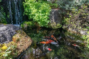 Отель Tabist Fuji Inn Ohashi Fujikawaguchiko