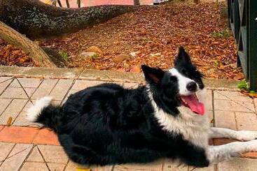 On Vacation Girardot Resort