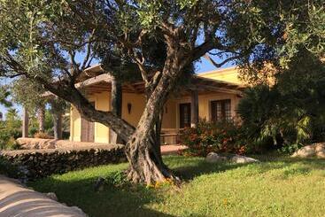 Bed and Breakfast Cave Garden Villa