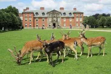 ペンション Central Mews House Altrincham