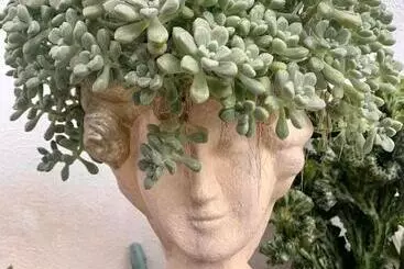 Hotelli Sunshine Stay Panglao