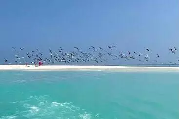 Ocean Voice Beach Resort & Diving