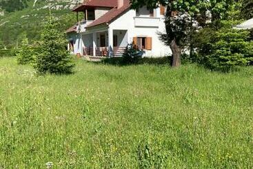 Pensiune Paja Guesthouse Camping