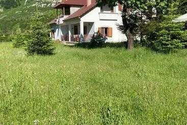 Pensiune Paja Guesthouse   Camping