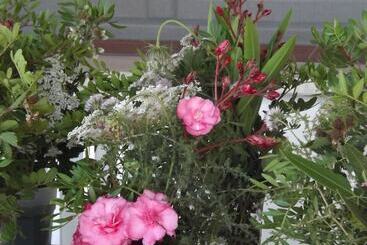 בית מלון כפרי Rurale Orti Di Nora & Spa