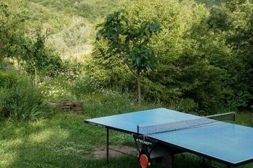 پانسیون Ferma Albanik