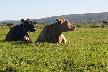 Ljósavatn Guesthouse