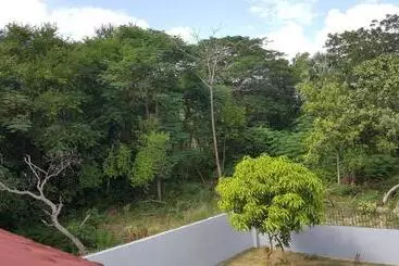 Ultimate Freedom Bed And Breakfast