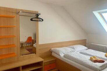 ペンション Penzion Ludor