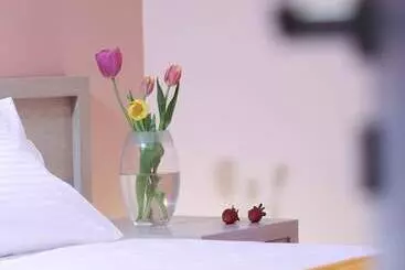 ツーリストアパートメント Anthemis Luxury Villas