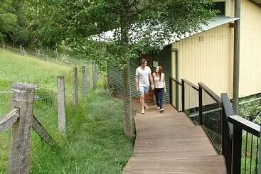 Отель Dayboro Cottages