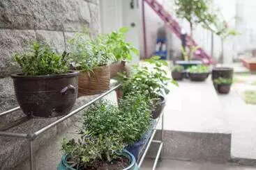 ペンション Hans House