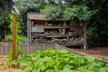 Pensão Chateau Pape Clement