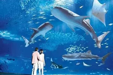 酒店 Marinepiazza Okinawa