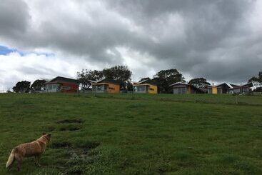 Bed and Breakfast Lush Pastures