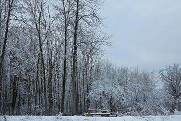 فندق South Side Inn   Burlington