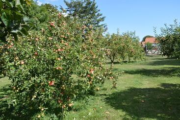 Bed and Breakfast Orchard Lodge & Wolds Restaurant