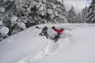 酒店 Asahidake Yumoto Yukomanso