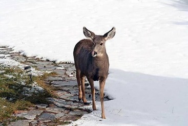 Country Sunshine Bed And Breakfast