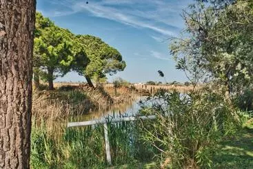 Lou Kif Hostel Votre Auberge En Camargue