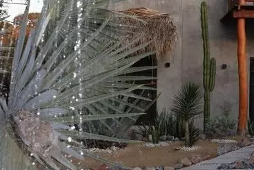 アパートホテル Casa Mexibali, Suite Bali