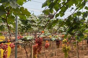 Pension Apec Mandala Mui Ne Phan Thiet R2223