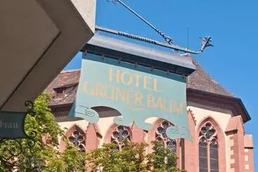 ホテル Grüner Baum