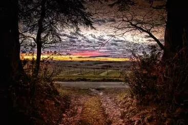 Bed and Breakfast Mulé