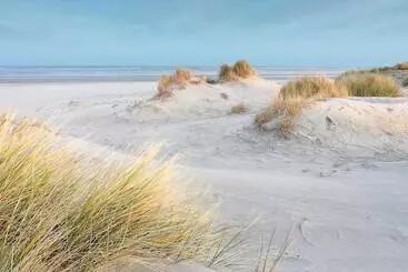 Fox Hotel The Hague Scheveningen