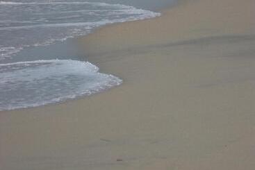 בית מלון כפרי Masseria Asciano