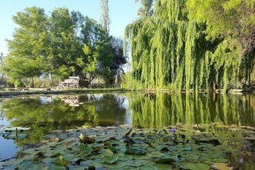 Hotel Posada Del Olivo