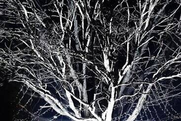 ペンション Accolades Boutique Venue