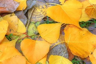 فندق Bright Accommodation Park