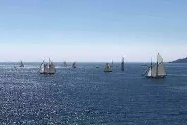 Residence La Palme D Azur   Cannes