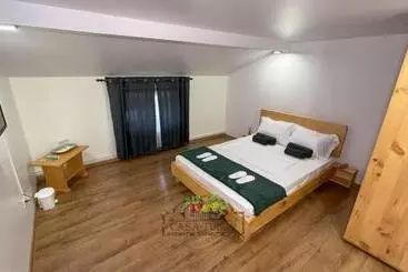 Pensionat Casa Tudor